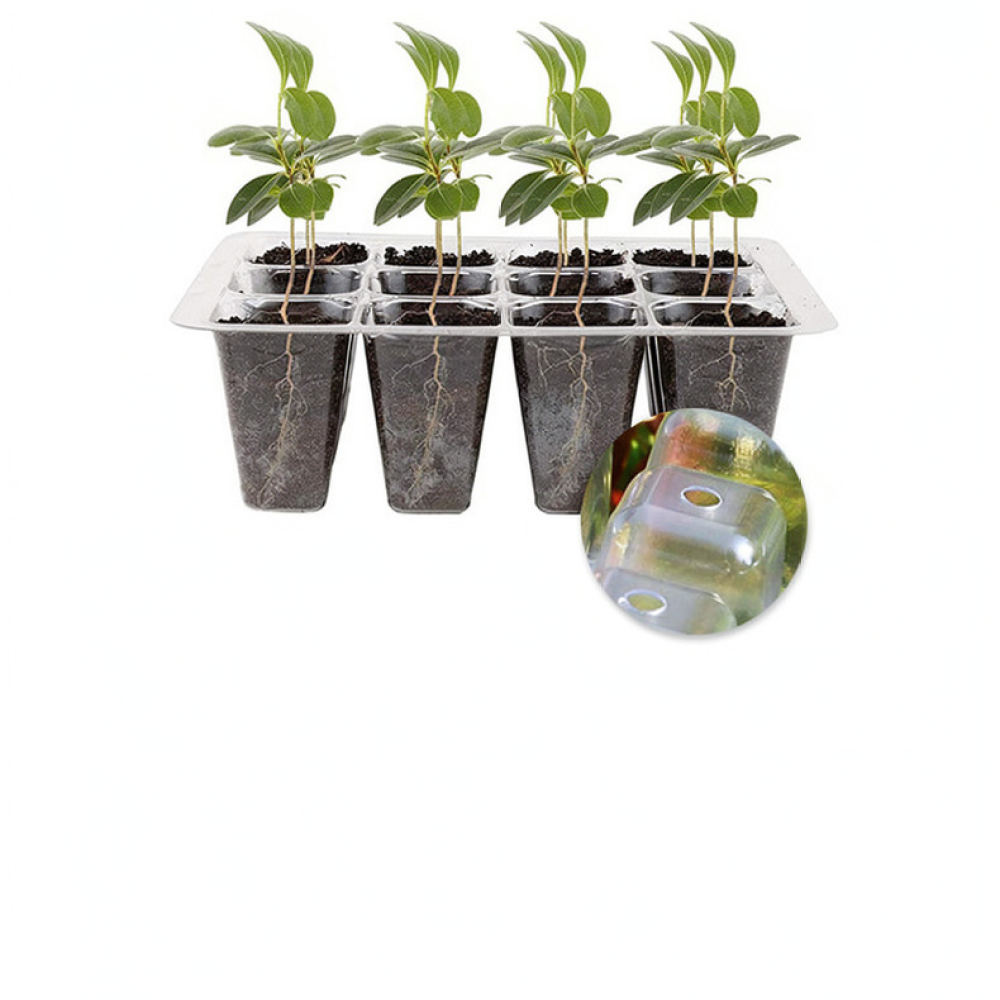 Indoor Garden Kit - Bitki Yetiştirme Işığı Başlangıç Seti, Yüksek