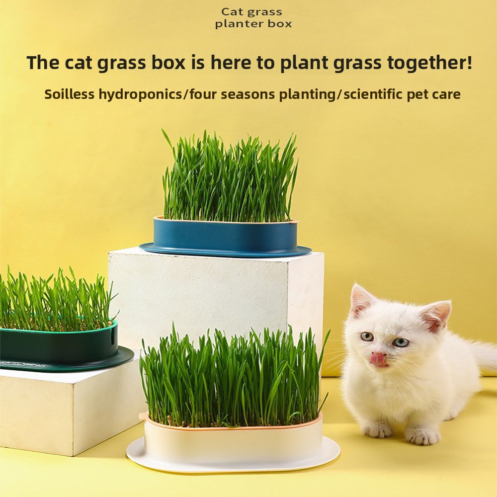 Hydroponic Grow Pod - Evcil Hayvan Malzemeleri Kedi Aperatifler Kedi