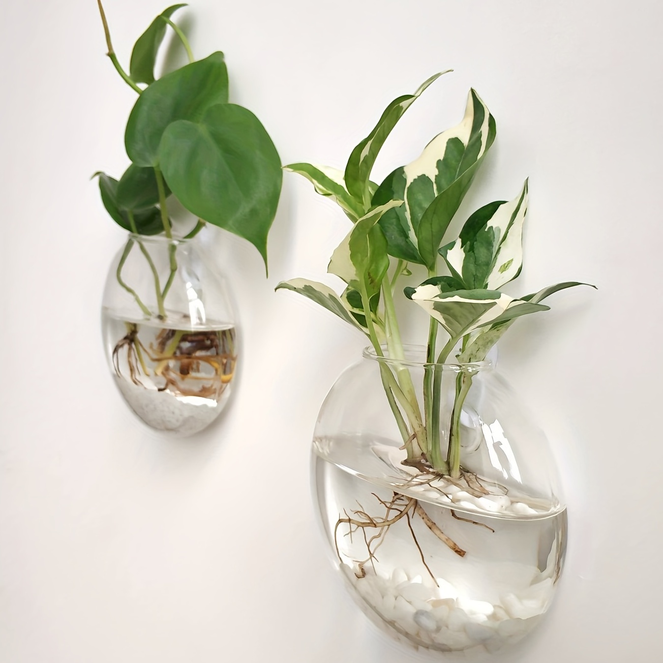 Hydroponic Grow Pod - 2 adet/4 adet/6 adet duvar asılı