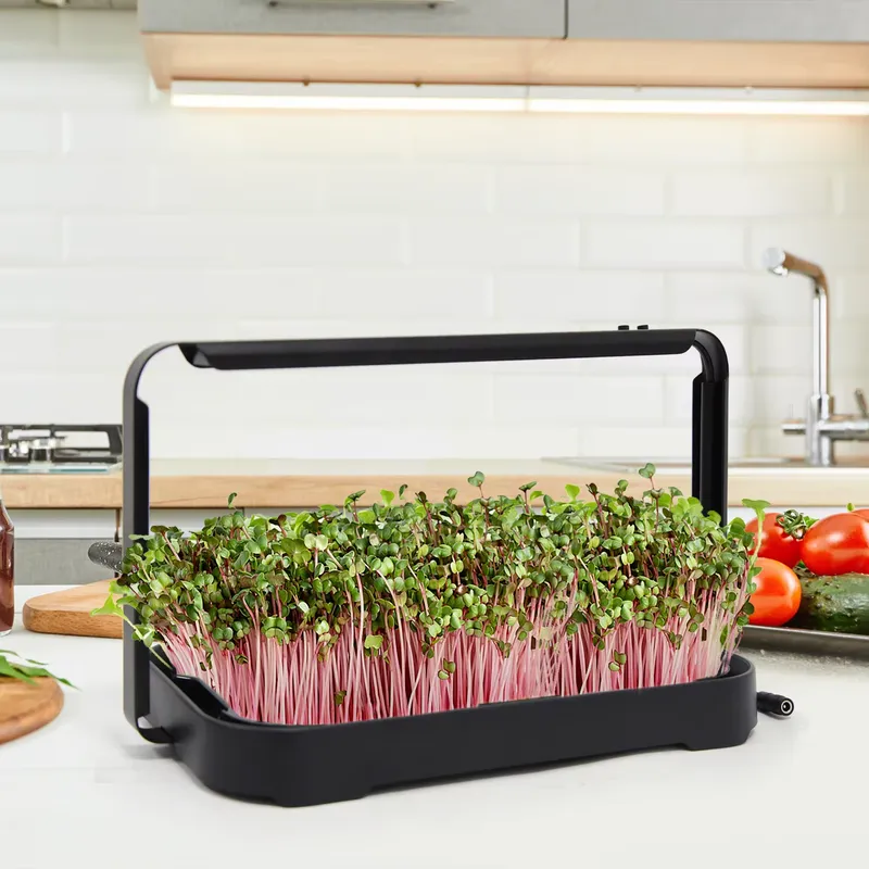 Indoor Garden Kit - Hidroponik Tepsi İç Mekan Mikro Yeşillik