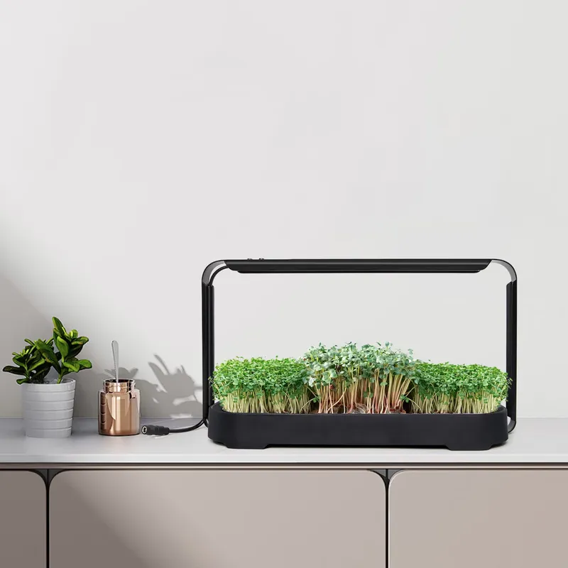 Mikro yeşillikler için kendi k - Indoor Garden Kit incelemesi ve fiyatı