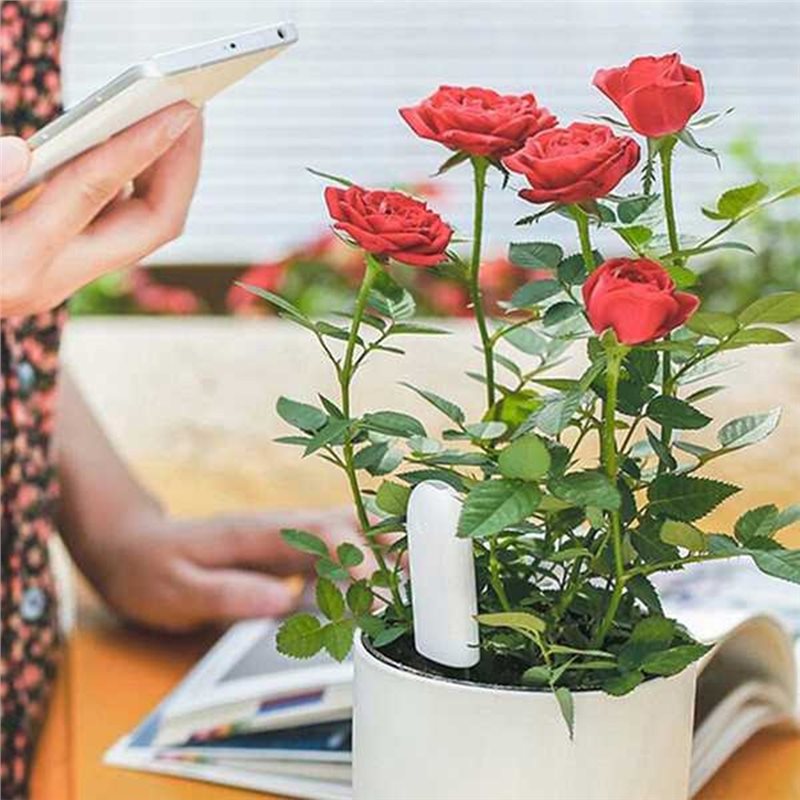 ABVG-Flora Akıllı Çiçek Monitö - Plant Sensor incelemesi ve fiyatı
