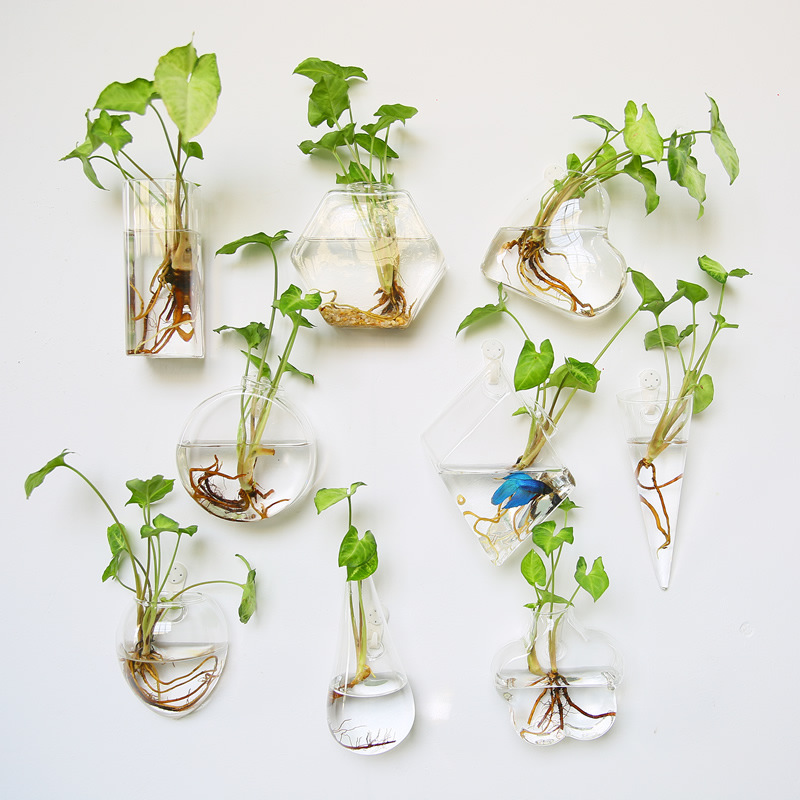 Duvara Asılan Cam Teraryum - E - Self Watering Planter incelemesi ve fiyatı