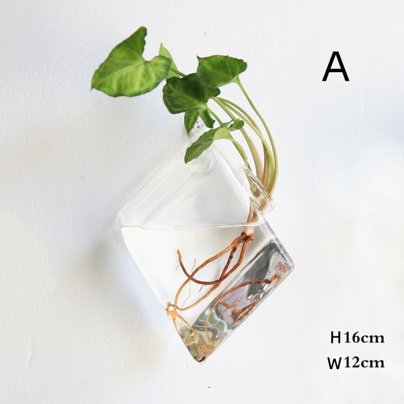 Duvara Asılan Cam Teraryum - E - Self Watering Planter incelemesi ve fiyatı
