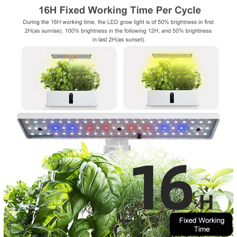 9 Bölmeli Akıllı Hidroponik Ye - Indoor Garden Kit incelemesi ve fiyatı