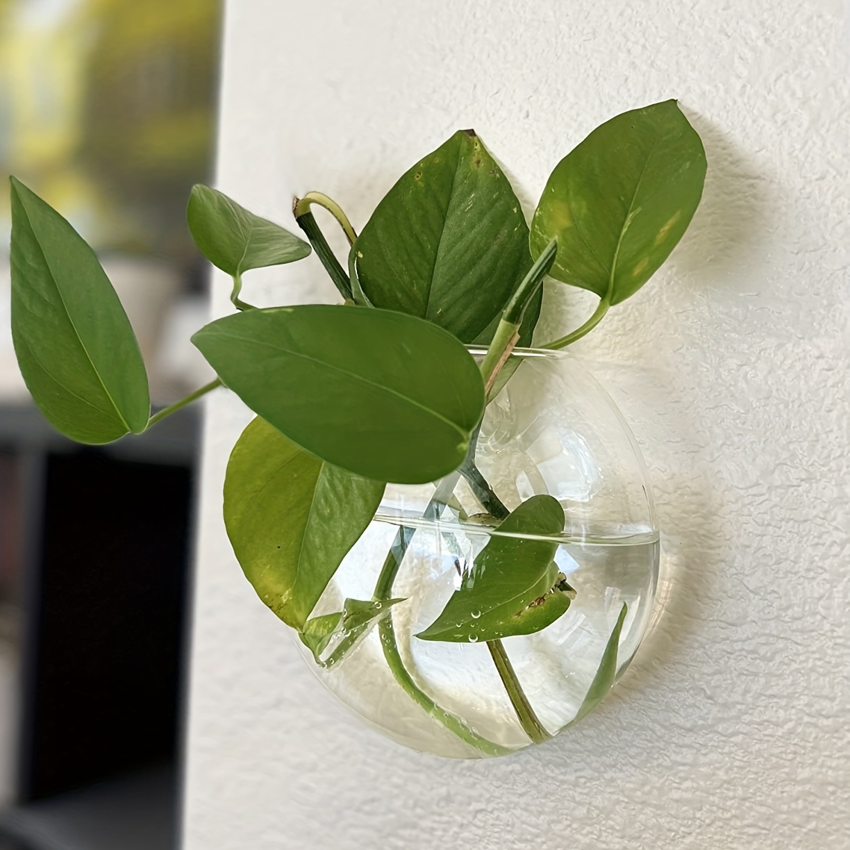 2 adet/4 adet/6 adet duvar ası - Hydroponic Grow Pod incelemesi ve fiyatı